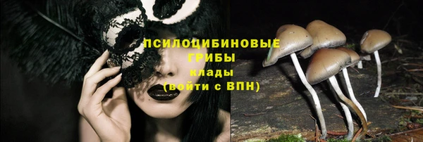 индика Бугульма