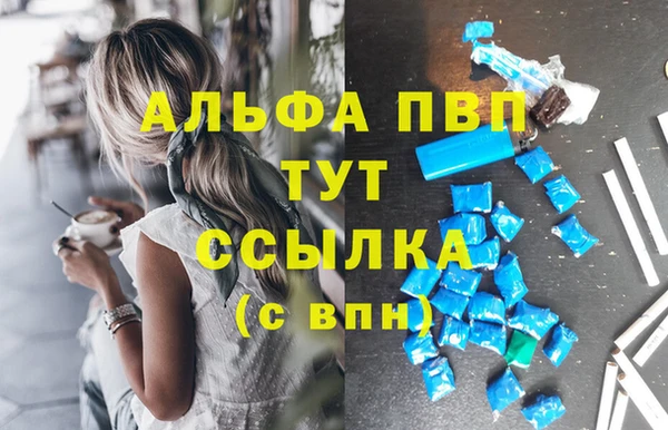 индика Бугульма
