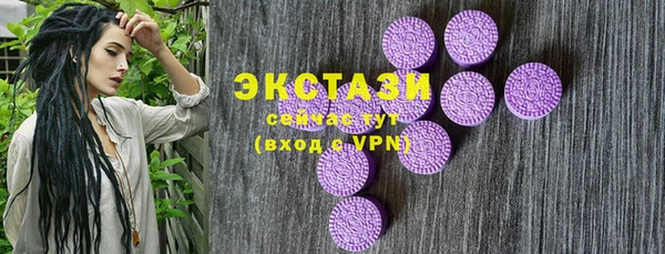 индика Бугульма