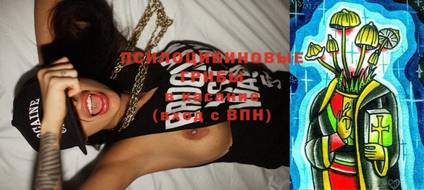 индика Бугульма