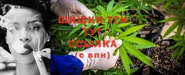 индика Бугульма